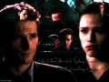 Alias Wallpaper
Sydney & Vaughn